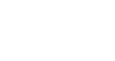 Voxler
